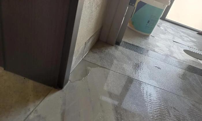 1702626750210966.jpg w700d1q75cms.jpg